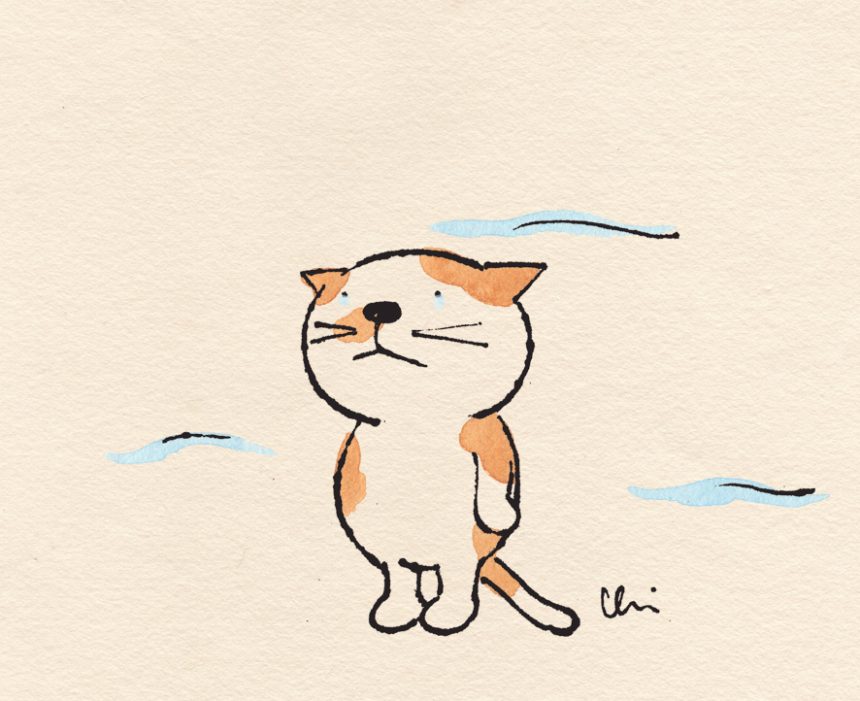 猫と秋風 イラスト エッセイ 神保町にゃんこ堂ポータルサイト