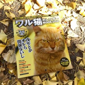 ワル猫カレンダーmook2018年版の全貌を公開1