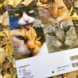 ワル猫カレンダーmook2018年版の全貌を公開10