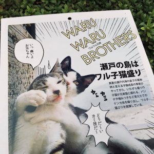 『ワル子猫カレンダーmook2018年版』全貌を公開！2