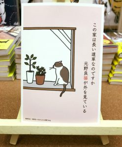 これから猫を飼う人に伝えたい10のこと6