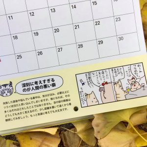 ワル猫カレンダーmook2018年版の全貌を公開5
