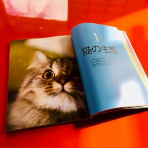 『ねこ検定公式ガイドBOOK』紹介5