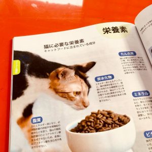 『ねこ検定公式ガイドBOOK』紹介9