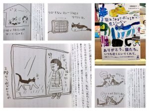 猫は、うれしかったことしか覚えていない2