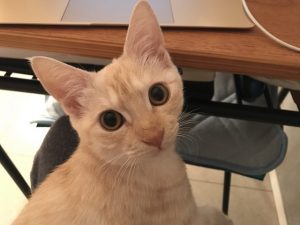 最近ぼくはごきげんですbyリクジロウ2