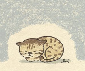 近所でときどき見かける“しまちゃん”