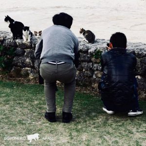 Cat lover.1