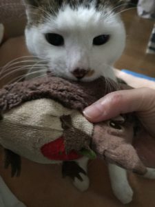 リアル嗣ちゃん