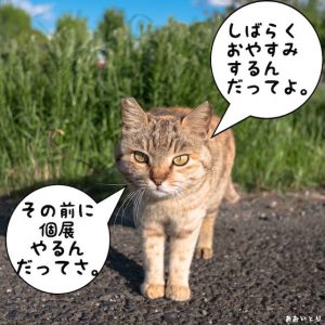 活動休止と個展開催のお知らせ