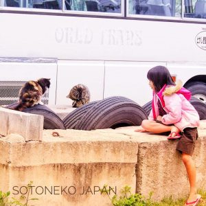 Cat lover3