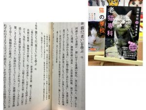 シニア猫と寄り添って暮らす心構えと、看取りを受け入れる勇気をもらえる1冊