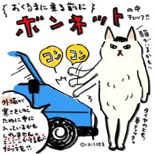 ボンネットバンバン