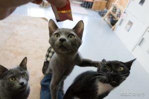 もう我慢できない。どいて!