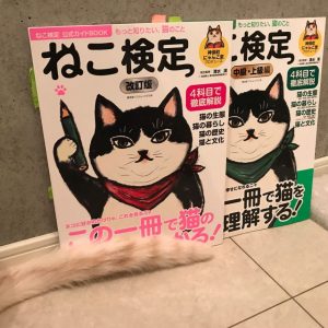 サイト用の写真を撮っていたらリクジロウがフレームイン