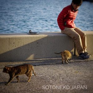 Cat lover_Vol.9…3作品