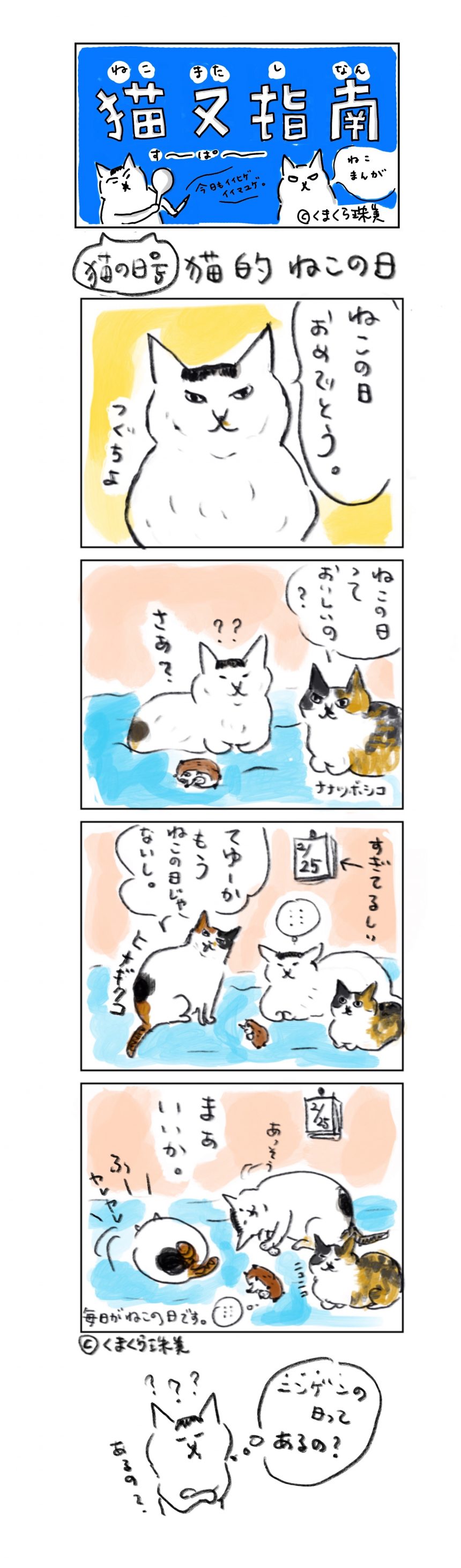 猫の日号 猫的ねこの日