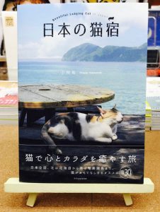 “女将猫のおもてなし宿” から “レスキューされた猫のいる癒し宿” まで『日本の猫宿』