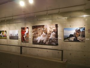 新美敬子写真展