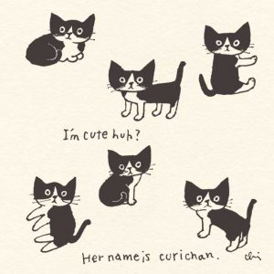 くりちゃんズ=^_^=♪