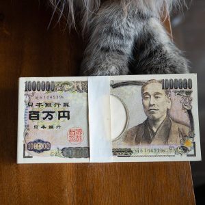 お札風の百万円メモ帳なのでした(ΦωΦ)
