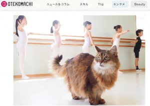 『生徒たちにも大人気　バレエ教室の姉妹猫』