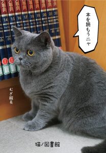 猫ノ図書館2