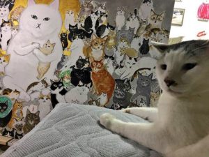 池袋東武百貨店にて「ねこ展」開催
