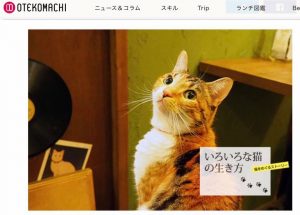 『美看板猫の天使の顔とワルの顔』