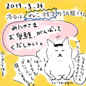 いよいよ本日『第3回 ねこ検定』