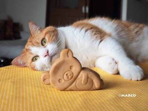 ちくわ×リラックマ