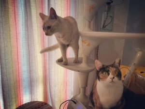 晴れてるー