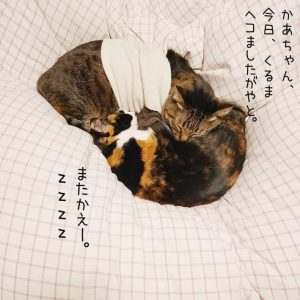 めちゃめちゃ凹むことありましたが