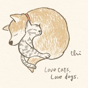 Love cats, Love dogs.